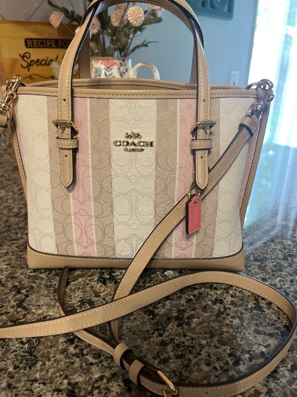 Coach Mollie 25 Signature Tote - Picture 4 of 8